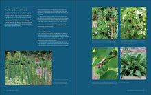 Load image into Gallery viewer, Front Cover