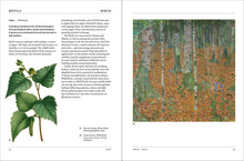 Load image into Gallery viewer, Front Cover