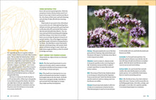 Load image into Gallery viewer, Front Cover