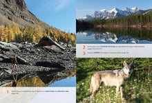 Load image into Gallery viewer, Front Cover
