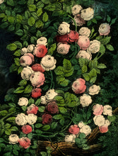Load image into Gallery viewer, Front Cover