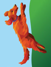 Load image into Gallery viewer, Front Cover