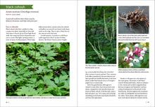Load image into Gallery viewer, Front Cover