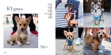 Load image into Gallery viewer, Front Cover