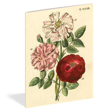 Load image into Gallery viewer, Front Cover