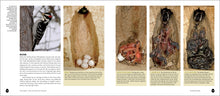 Load image into Gallery viewer, Front Cover
