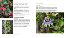 Load image into Gallery viewer, Front Cover