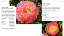 Load image into Gallery viewer, Front Cover