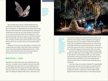 Load image into Gallery viewer, Front Cover
