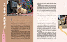 Load image into Gallery viewer, Front Cover