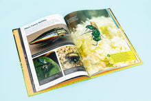 Load image into Gallery viewer, Front Cover