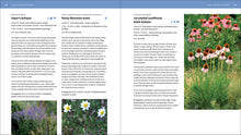 Load image into Gallery viewer, Front Cover