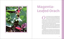 Load image into Gallery viewer, Front Cover