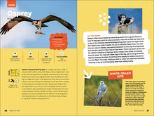 Load image into Gallery viewer, Front Cover