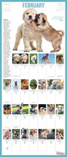 Load image into Gallery viewer, Front Cover