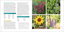 Load image into Gallery viewer, Front Cover