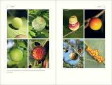 Load image into Gallery viewer, Front Cover