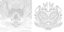 Load image into Gallery viewer, Front Cover