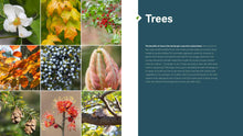Load image into Gallery viewer, Front Cover