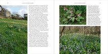 Load image into Gallery viewer, Front Cover