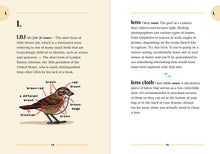 Load image into Gallery viewer, Front Cover
