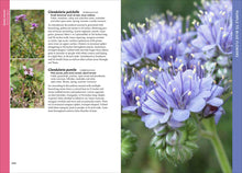 Load image into Gallery viewer, Front Cover