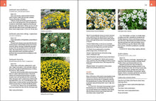 Load image into Gallery viewer, Front Cover