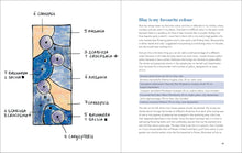 Load image into Gallery viewer, Front Cover