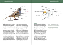 Load image into Gallery viewer, Front Cover