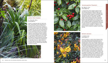 Load image into Gallery viewer, Front Cover