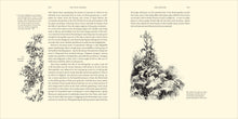 Load image into Gallery viewer, Front Cover