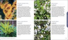 Load image into Gallery viewer, Front Cover