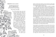 Load image into Gallery viewer, Front Cover