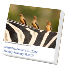 Load image into Gallery viewer, Front Cover