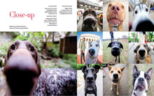 Load image into Gallery viewer, Front Cover