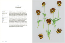 Load image into Gallery viewer, Front Cover