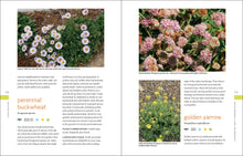 Load image into Gallery viewer, Front Cover