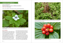 Load image into Gallery viewer, Front Cover