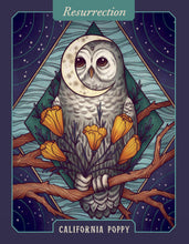 Load image into Gallery viewer, Front Cover