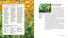 Load image into Gallery viewer, Front Cover