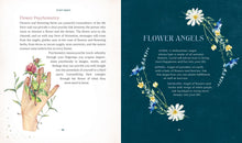 Load image into Gallery viewer, Front Cover