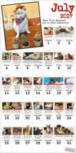 Load image into Gallery viewer, Front Cover