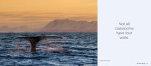Load image into Gallery viewer, Front Cover