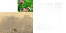 Load image into Gallery viewer, Front Cover