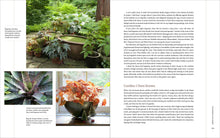 Load image into Gallery viewer, Front Cover