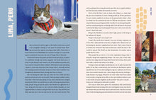 Load image into Gallery viewer, Front Cover