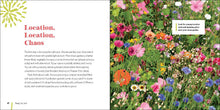 Load image into Gallery viewer, Front Cover