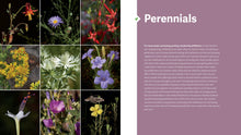 Load image into Gallery viewer, Front Cover