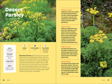 Load image into Gallery viewer, Front Cover