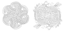 Load image into Gallery viewer, Front Cover